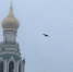 Фото: Вологда-поиск - Вологда-поиск