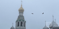 Фото: Вологда-поиск - Вологда-поиск