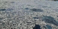 Министерство природопользования Ярославской области - Cher-Poisk.Ru