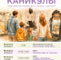 Время культурных открытий - Администрация Ейского района