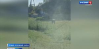 Мишка косолапый по Есино идёт - Вести Хакасия