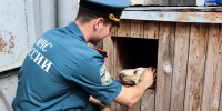 Сотрудники силовых ведомств Пскова вновь объединились ради доброго дела - МЧС Псковской области