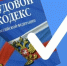 Информируем жителей о дополнительных мерах поддержки в части предоставления социальных гарантий. - Муниципальный округ Воркута