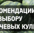 Рекомендации Роспотребнадзора по покупке бахчевых культур.. - Администрация г. Клинцы