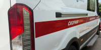 Укус осы едва не отправил россиянина на тот свет - MosRegToday.Ru