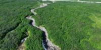 Самые популярные новости ИА KamchatkaMedia 14 августа - KamchatkaMedia.Ru