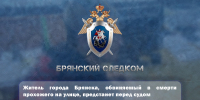 Житель города Брянска, обвиняемый в смерти прохожего на улице, предстанет перед судом - Следственный комитет