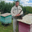 ПРОДОЛЖАТЕЛЬ МЕДОВОЙ ДИНАСТИИ - Вадский муниципальный округ