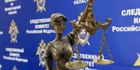 В Приозерском районе мужчина признан виновным в применении насилия в отношении представителя власти - Следственный комитет