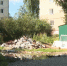 Крысы заполонили мусорную гору из кирпича и бетона в Йошкар-Оле - Pg12.Ru