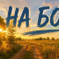 На БОР! - Tvoy-Bor.Ru