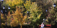 Наслаждайтесь теплом: «Народные синоптики» в Кургане напоминают, что осень уже не за горами - Область 45