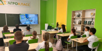 Педагоги Ставрополья усилят навыки профориентационной работы со школьниками - Министерство образования