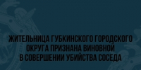 Жительница Губкинского городского округа признана виновной в совершении убийства соседа - Следственный комитет