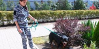 В образовательных учреждениях Волгодонска пройдут антитеррористические учения - DonDay-Volgodonsk.Ru