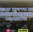 Интернет-проект НТ «Почему круто жить в Новгородской области?» вышел в финал конкурса «Диво России» - Новгородское областное телевидение