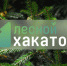 Экология - Riac34.Ru
