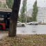 Легковушка протаранила автобус в Нижнем Новгороде: пострадала женщина - фото 1 - vGorodeN.Ru