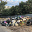 В Балаково на Коммунистической без предупреждения демонтировали контейнерную площадку - ProBalakovo.Ru