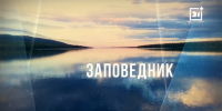 Заповедник: Маяк Кильдинский Северный. Часть 2 - Телекомпания ТВ-21