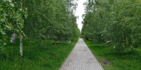 дорожка в парке - Петрозаводск говорит