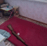 Пенсионер из воловского района получил в подарок ружьё и попал под суд - ИА Тульские новости