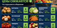 Картофель, капуста, лук, свёкла, морковь, помидоры, яблоки, бананы – всё дешевеет в Воронеже - Bloknot-Voronezh.Ru