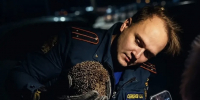 Тульские пожарные спасли ежа из заброшенного дома - ГТРК