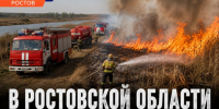 В Ростовской области потушили крупный пожар в пойме Дона - Bloknot-Rostov.Ru