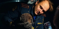Операция «Еж»: сотрудники МЧС Тульской области пришли на помощь к колючему другу - ИА Тульская пресса.Ru