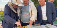 Губернатор Курской области поздравил с Медовым спасом и началом Успенского поста - Курская правда