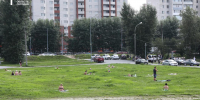 Фото Екатерины Христозовой - Tumentoday.Ru