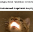 h4prqiFR7VvnoL7dqN8Zp0I6jGyj13k25J8lkfpB7ZHIzKhmBIm-7mZSK230qKKv79p3D4OeNge4803-S_gMEq-w.jpg - Ozersk74.Ru