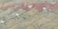 На улице Благовещенска изпод земли сквозь плитку забили ключи видео - Amur.Life