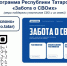 Программа Республики Татарстан "Забота о СВОих" - Сабинский район