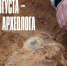 15 августа – День археолога. - Город Коряжма
