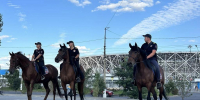 Волгоградские полицейские обеспечили порядок на матче «Ротор» – «Урал» - Волга-Медиа