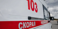 Фото: Алина Дьякова/«Ямал-Медиа» - Ямал-Медиа