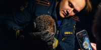 Тульские спасатели вызволили ежа из двухметровой западни - ТК Первый Тульский