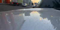 Пепел - РИА Омск-информ