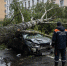 Владивосток готовится к сильным ливням и штормовому ветру: введен особый режим - Peterburg2.Ru