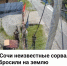 В Сочи полиция начала проверку после публикации о сорванных флагах - Sochi24.tv