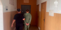 Суд заключил под стражу обвиняемого в убийстве девочки под Ростовом - M24.Ru