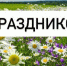 Уважаемые жители посёлка Кневицы и деревни Чёрный Ручей!. - Демянский район
