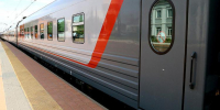 В 2026 году более 200 домашних животных перевезли на поезде без хозяев с вокзала Белгорода - БелПресса