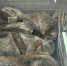 nn85rq3l5ql66esha4wbfw8nozlb3y7r.jpg - Primorye24.Ru