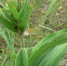 Волгоградская правда - Газета Волгоградская правда