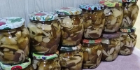 Лаишевский район радует грибников богатым урожаем - Камская новь