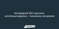В 2026 году в Белгородской области мальчики рождаются чаще - Fonar.Tv