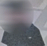 В Нижнем Новгороде нашли 14-летнего зацепера, повторно нарушившего правила - ProGorodNN.Ru